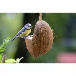 DOBAR Vogelfutter, Verschiedene Ausführungen -Günstiges Tierbedarf Geschäft unnamed file 4863