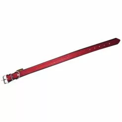 Hundehalsband, Größe: 50 Cm, Rindsleder, Rot/schwarz