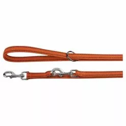 Hundeleine, Größe: Verstellbar, Nylon, Orange