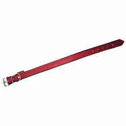 Hundehalsband, Größe: 60 Cm, Rindsleder, Rot/schwarz -Günstiges Tierbedarf Geschäft unnamed file 5099