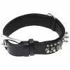Hundehalsband, Größe: 55 Cm, Rindsleder, Schwarz -Günstiges Tierbedarf Geschäft unnamed file 5100