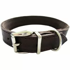 Hundehalsband, Größe: 55 Cm, Rindsleder, Braun -Günstiges Tierbedarf Geschäft unnamed file 5123