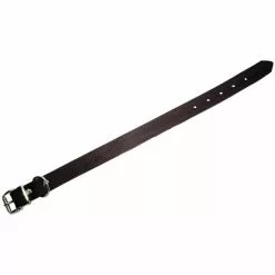 Hundehalsband, Größe: 55 Cm, Rindsleder, Braun -Günstiges Tierbedarf Geschäft unnamed file 5124