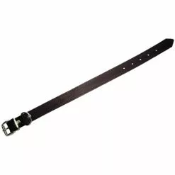 Hundehalsband, Größe: 45 Cm, Rindsleder, Braun -Günstiges Tierbedarf Geschäft unnamed file 5134