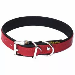 Hundehalsband, Größe: 30 Cm, Rindsleder, Rot/schwarz -Günstiges Tierbedarf Geschäft unnamed file 5151