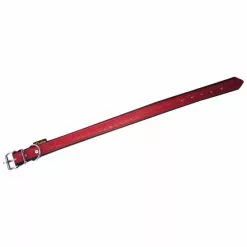 Hundehalsband, Größe: 45 Cm, Rindsleder, Rot/schwarz -Günstiges Tierbedarf Geschäft unnamed file 5191