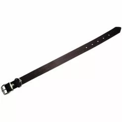 Hundehalsband, Größe: 60 Cm, Rindsleder, Braun -Günstiges Tierbedarf Geschäft unnamed file 5286