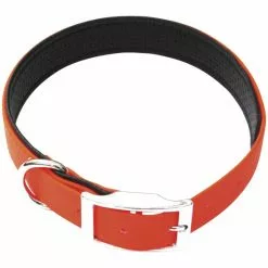 Hundehalsband, Größe: 50 Cm, Biothane, Neonorange -Günstiges Tierbedarf Geschäft unnamed file 5363