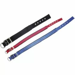 Hundehalsband, Größe: 40 Cm, Schwarz -Günstiges Tierbedarf Geschäft unnamed file 5402