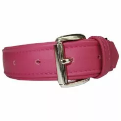 Hundehalsband, Größe: 45 Cm, Rindsleder, Pink -Günstiges Tierbedarf Geschäft unnamed file 5428