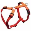 Hunde-Geschirr, Größe: Verstellbar, Nylon, Orange -Günstiges Tierbedarf Geschäft unnamed file 5461