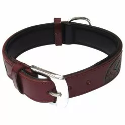 Hundehalsband, Größe: 50 Cm, Rindsleder, Bordeauxrot -Günstiges Tierbedarf Geschäft unnamed file 5475