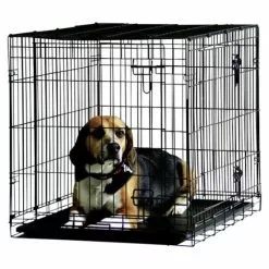 Transportbox, Schwarz