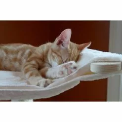 ARMARKAT Kratzbaum »Frieda«, Holzfarben, Höhe: 137 Cm -Günstiges Tierbedarf Geschäft unnamed file 5629