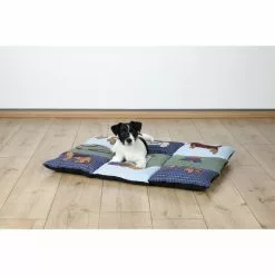 Heimtierdecke, Grün -Günstiges Tierbedarf Geschäft unnamed file 5650