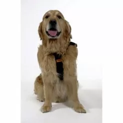 Sicherheitsgurt, Für Hunde, Nylon, Schwarz -Günstiges Tierbedarf Geschäft unnamed file 5752