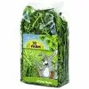 JR FARM Nager-Snacks »Grüner Hafer«, 6 Beutel à 100 G 1 JR FARM Nager-Snacks »Grüner Hafer«, 6 Beutel à 100 G -Günstiges Tierbedarf Geschäft unnamed file 5846