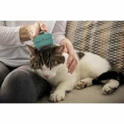 FURMINATOR Bürste »deShedding TOOL«, S Langhaar, Für Kleine Katzen Bis Zu 4,5 Kg, Türkis -Günstiges Tierbedarf Geschäft unnamed file 593