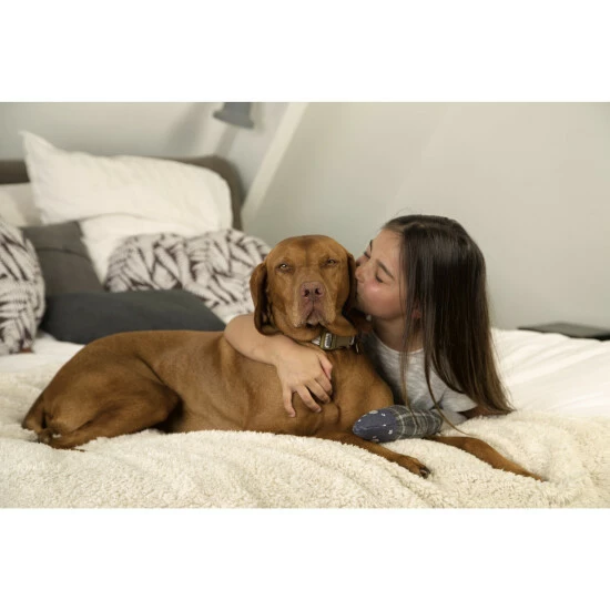 Decke »Designed By Lotte«, Beige/braun 4 Decke »Designed By Lotte«, Beige/braun – Bild 2