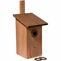 DOBAR Beobachtungs-Nistkasten Einblick -Günstiges Tierbedarf Geschäft unnamed file 6107