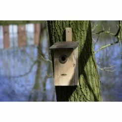 DOBAR Beobachtungs-Nistkasten Einblick -Günstiges Tierbedarf Geschäft unnamed file 6108