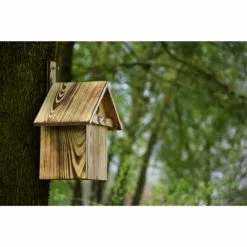 DOBAR Geflammter Nistkasten Mit Anflugleiste -Günstiges Tierbedarf Geschäft unnamed file 6114