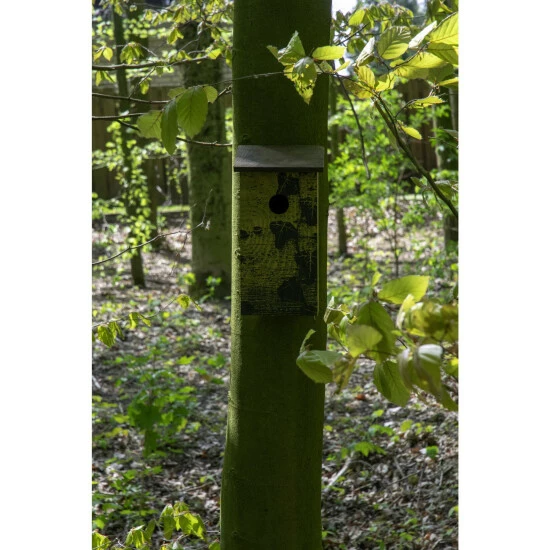 DOBAR Nistkasten Rindenoptik Fagus Sylvatica 4 DOBAR Nistkasten Rindenoptik Fagus Sylvatica – Bild 2