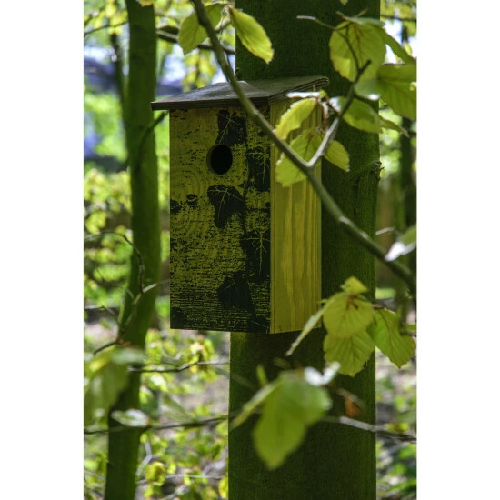 DOBAR Nistkasten Rindenoptik Fagus Sylvatica 8 DOBAR Nistkasten Rindenoptik Fagus Sylvatica – Bild 6