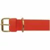 HEIM Halsband, Biothane, 35 Cm, BioThane, Neonorange 2 HEIM Halsband, Biothane, 35 Cm, BioThane, Neonorange -Günstiges Tierbedarf Geschäft unnamed file 6335