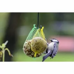 Vogelfutter »Spezialitäten-Mix 23-teilig«, à 2700 G 23 Vogelfutter »Spezialitäten-Mix 23-teilig«, à 2700 G -Günstiges Tierbedarf Geschäft unnamed file 6366