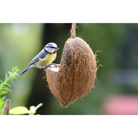 Vogelfutter »Spezialitäten-Mix 23-teilig«, à 2700 G 5 Vogelfutter »Spezialitäten-Mix 23-teilig«, à 2700 G – Bild 3