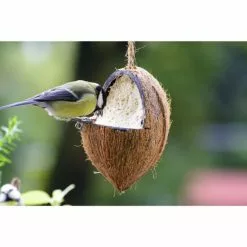 Vogelfutter »Spezialitäten-Mix 23-teilig«, à 2700 G 25 Vogelfutter »Spezialitäten-Mix 23-teilig«, à 2700 G -Günstiges Tierbedarf Geschäft unnamed file 6368