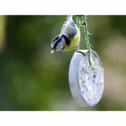 Vogelfutter »Spezialitäten-Mix 23-teilig«, à 2700 G 26 Vogelfutter »Spezialitäten-Mix 23-teilig«, à 2700 G -Günstiges Tierbedarf Geschäft unnamed file 6369