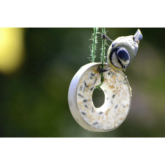 Vogelfutter »Spezialitäten-Mix 23-teilig«, à 2700 G 8 Vogelfutter »Spezialitäten-Mix 23-teilig«, à 2700 G – Bild 6