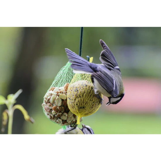 Vogelfutter »Spezialitäten-Mix 23-teilig«, à 2700 G 9 Vogelfutter »Spezialitäten-Mix 23-teilig«, à 2700 G – Bild 7