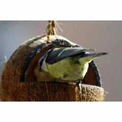 Vogelfutter »Spezialitäten-Mix 23-teilig«, à 2700 G 32 Vogelfutter »Spezialitäten-Mix 23-teilig«, à 2700 G -Günstiges Tierbedarf Geschäft unnamed file 6375