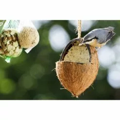 Vogelfutter »Spezialitäten-Mix 23-teilig«, à 2700 G 35 Vogelfutter »Spezialitäten-Mix 23-teilig«, à 2700 G -Günstiges Tierbedarf Geschäft unnamed file 6378
