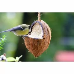 Vogelfutter »Spezialitäten-Mix 23-teilig«, à 2700 G 36 Vogelfutter »Spezialitäten-Mix 23-teilig«, à 2700 G -Günstiges Tierbedarf Geschäft unnamed file 6379