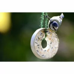 Vogelfutter »Spezialitäten-Mix 23-teilig«, à 2700 G 37 Vogelfutter »Spezialitäten-Mix 23-teilig«, à 2700 G -Günstiges Tierbedarf Geschäft unnamed file 6380