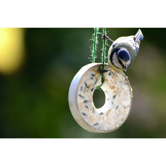 Vogelfutter »Spezialitäten-Mix 23-teilig«, à 2700 G 18 Vogelfutter »Spezialitäten-Mix 23-teilig«, à 2700 G – Bild 16