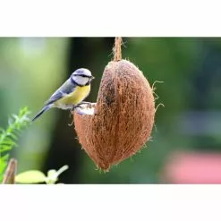 Vogelfutter »Spezialitäten-Mix 23-teilig«, à 2700 G 38 Vogelfutter »Spezialitäten-Mix 23-teilig«, à 2700 G -Günstiges Tierbedarf Geschäft unnamed file 6381