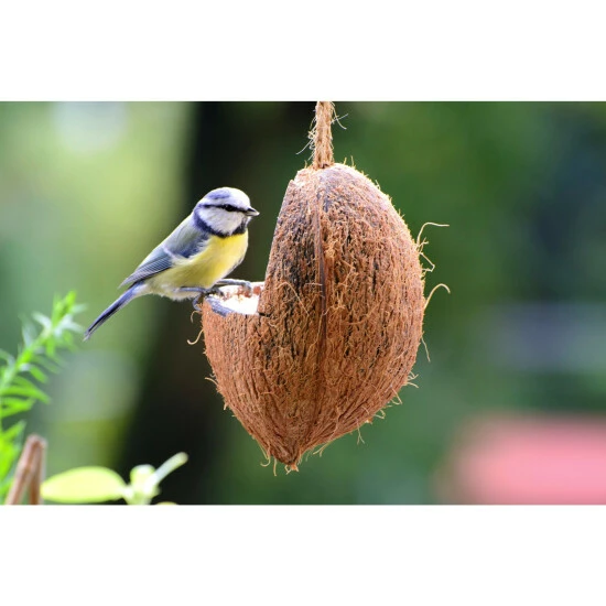 Vogelfutter »Spezialitäten-Mix 23-teilig«, à 2700 G 19 Vogelfutter »Spezialitäten-Mix 23-teilig«, à 2700 G – Bild 17