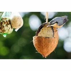 Vogelfutter »Spezialitäten-Mix 23-teilig«, à 2700 G 39 Vogelfutter »Spezialitäten-Mix 23-teilig«, à 2700 G -Günstiges Tierbedarf Geschäft unnamed file 6382