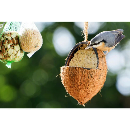 Vogelfutter »Spezialitäten-Mix 23-teilig«, à 2700 G 20 Vogelfutter »Spezialitäten-Mix 23-teilig«, à 2700 G – Bild 18