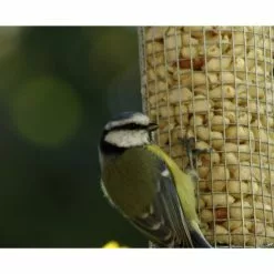 DOBAR Vogelfuttersäule, Metall, Silberfarben, Zum Aufhängen 14 DOBAR Vogelfuttersäule, Metall, Silberfarben, Zum Aufhängen -Günstiges Tierbedarf Geschäft unnamed file 6455