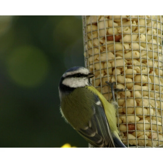 DOBAR Vogelfuttersäule, Metall, Silberfarben, Zum Aufhängen 7 DOBAR Vogelfuttersäule, Metall, Silberfarben, Zum Aufhängen – Bild 5