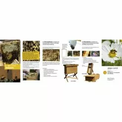 Dobar Bienenkiste Für Honig-Bienen Zum Imkern -Günstiges Tierbedarf Geschäft unnamed file 6492