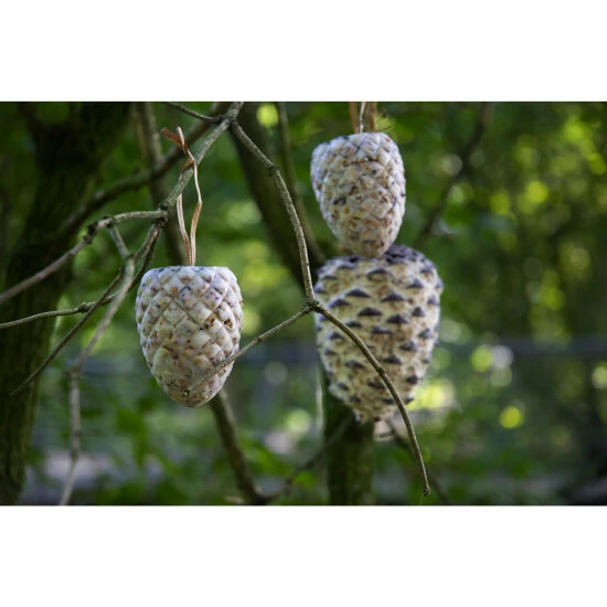 DOBAR Vogelfutter, 4 X Riesenzapfen, 4x Meisenzapfen 4 DOBAR Vogelfutter, 4 X Riesenzapfen, 4x Meisenzapfen – Bild 2