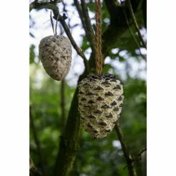 DOBAR Vogelfutter, 4 X Riesenzapfen, 4x Meisenzapfen 13 DOBAR Vogelfutter, 4 X Riesenzapfen, 4x Meisenzapfen -Günstiges Tierbedarf Geschäft unnamed file 6524