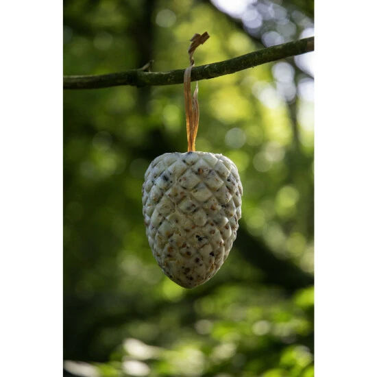 DOBAR Vogelfutter, 4 X Riesenzapfen, 4x Meisenzapfen 8 DOBAR Vogelfutter, 4 X Riesenzapfen, 4x Meisenzapfen – Bild 6